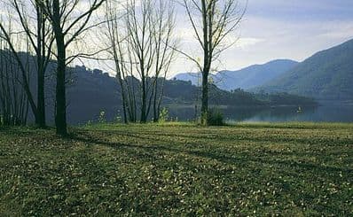 Tumut