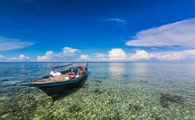 Sea & Island Tours
