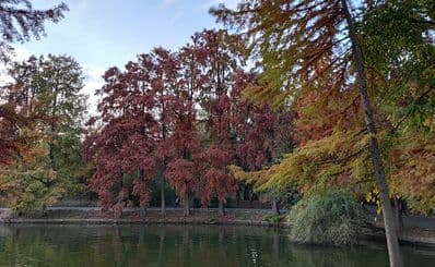 Herăstrău Park