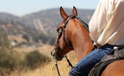 Kohl's Ranch Stables