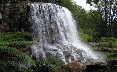 Iveagh Gardens