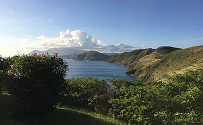 Banana Bay
