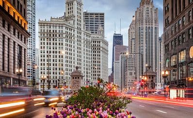 The Magnificent Mile
