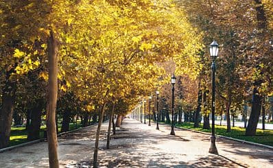 Parque Forestal