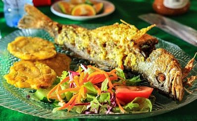 Sabor Latino