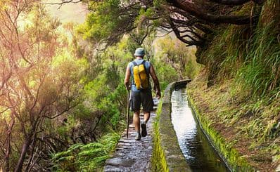 Levada Walks