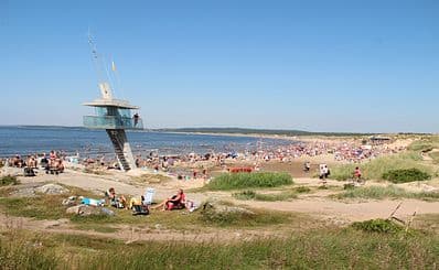 Beach Life
