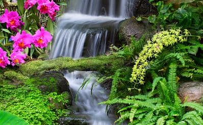 Waterfall Garden