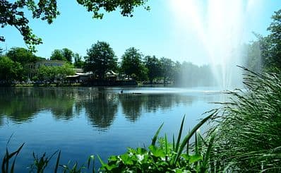 Slottsskogen