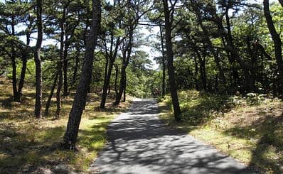 Cape Cod Rail Trail