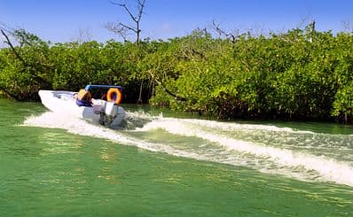 Speedboat Mangrove Tours