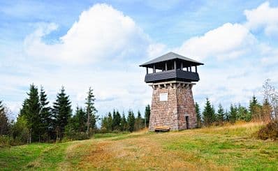 Mehliskopf