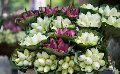 Quang Ba Flower Market