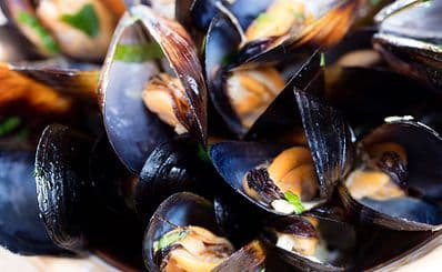 Big Mussel