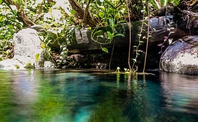 Stoney Creek in the Byfield National Park