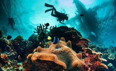 Diving