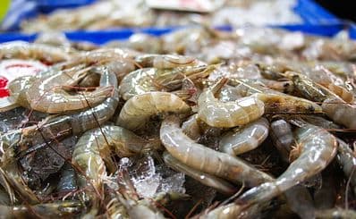 Seaside Dampa / Seaside Market