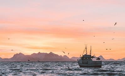 Elbe's Fiske & Marin AB