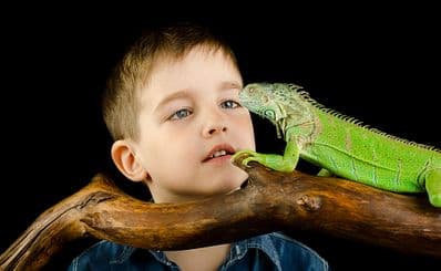 Zoo de Mescoules