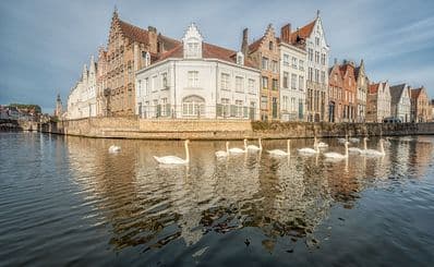 Die Brügger Grachten: die Adern der Stadt