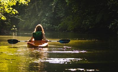 Kayaking in Mangrove Tunnels