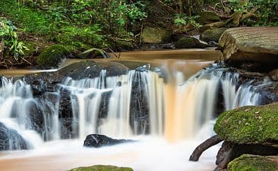 Karura Forest