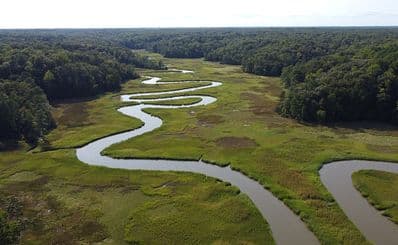 York River State Park