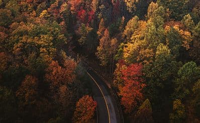 Best Time to Visit