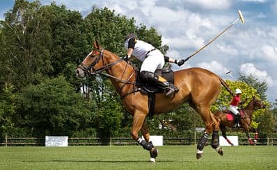 National Polo Center