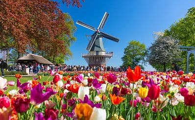 Keukenhof Gardens
