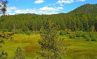 Ochoco National Forest & Crooked River National Grassland