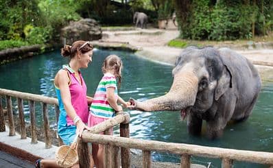 Singapore Zoo