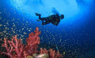 Diving