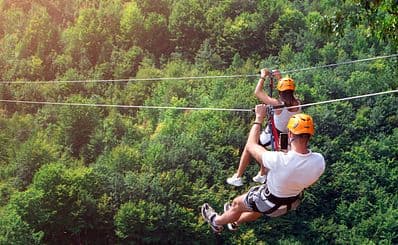Ziptrek Ecotours