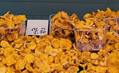 Tampere Market Hall