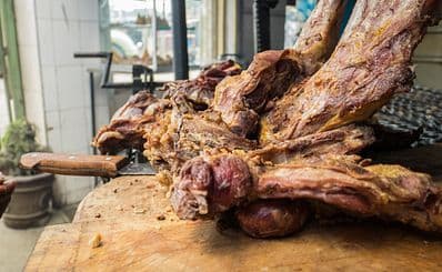 Carnivore