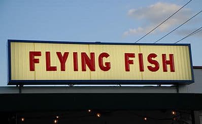 The Flying Fish
