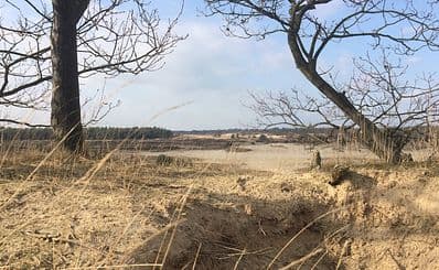 Loonse and Drunense Dunes - Heusden