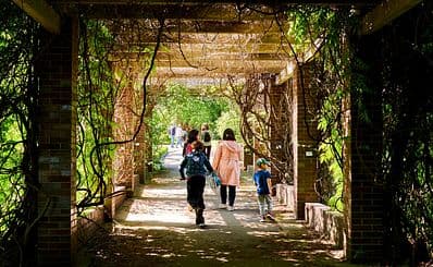 University Botanical Garden