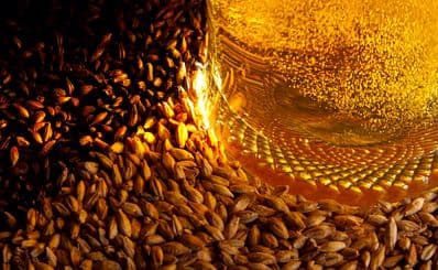 Coopers Brewery Tour