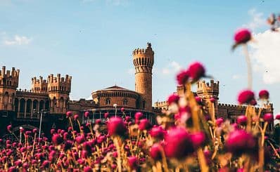 Best Time to Visit