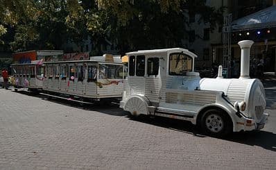 Sightseeing By Small City Train