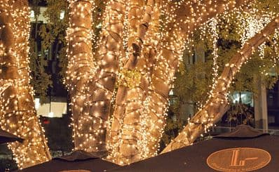 Fairy Light Trees