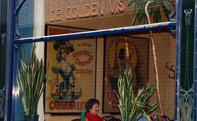 De Gouden Vis