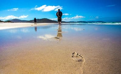 The Freycinet Experience Walk