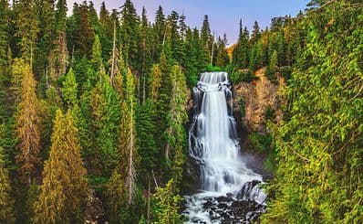 Alexander Falls