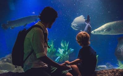 Universeum