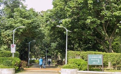 Daan Forest Park