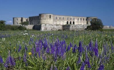 Borgholm Castle