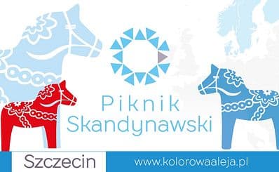 The Scandinavian Picnic